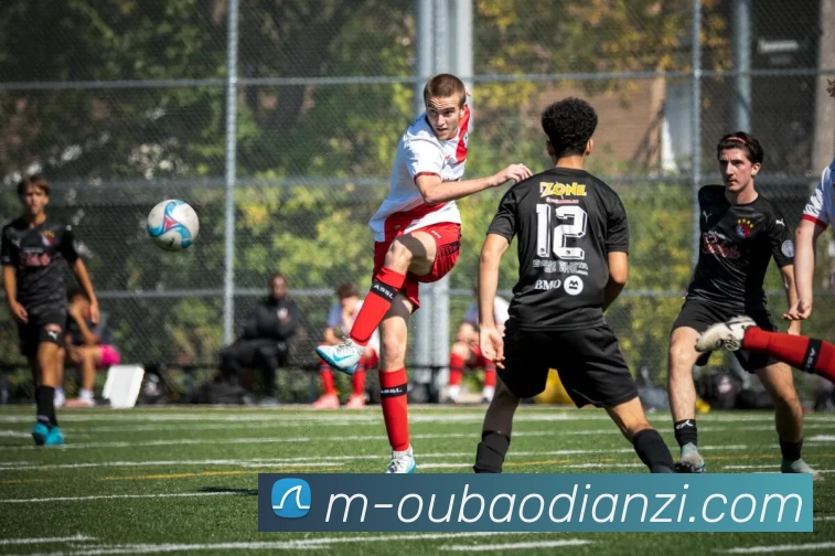 欧宝电子平台生态图