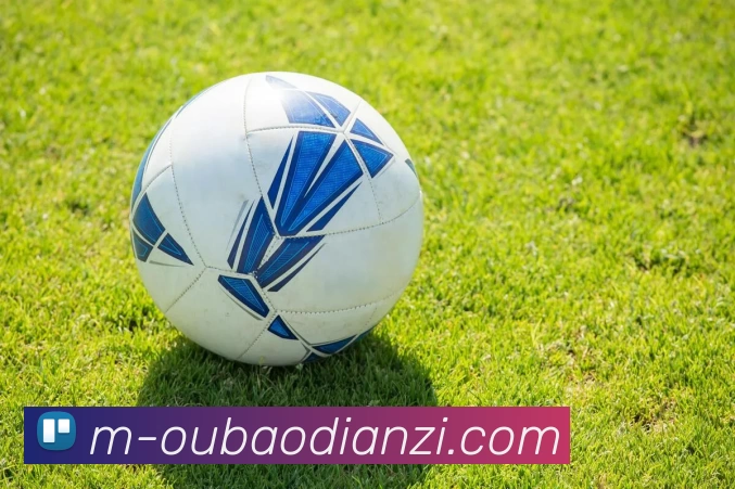 欧宝电子APP 封面图